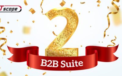 Rückblick auf zwei Jahre mit der B2B Suite: Herausforderungen, Erfolge und ein Blick in die Zukunft