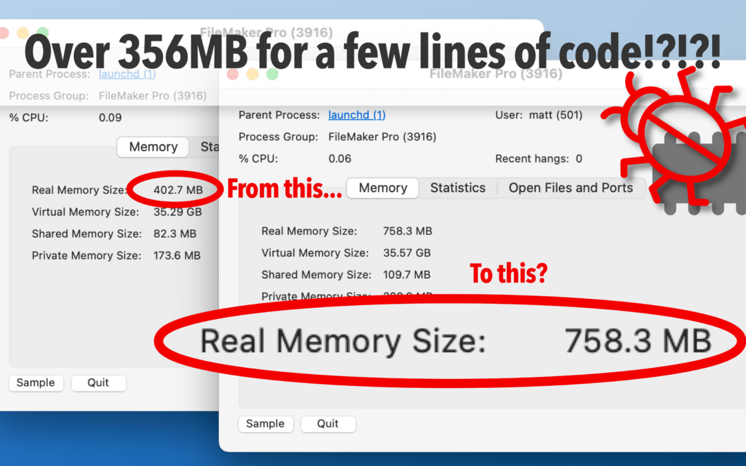 FileMaker Memory Bug?